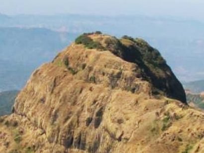 Jangaliygadh-traking-orchid-executive-koynanagar2