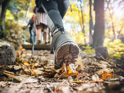 Trekking-orchid-executive-koynanagar1