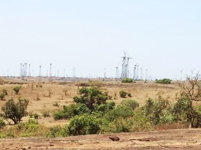 Vankusawade-Wind-Park-orchid-executive-koynanagar2