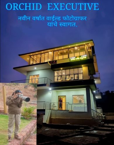 WhatsApp Image 2025-03-11 at 11.07.09 (1)